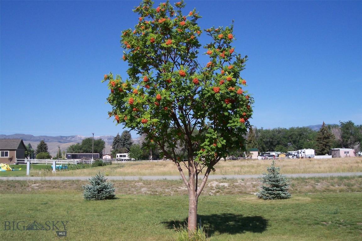 Lazy Acres - Residential