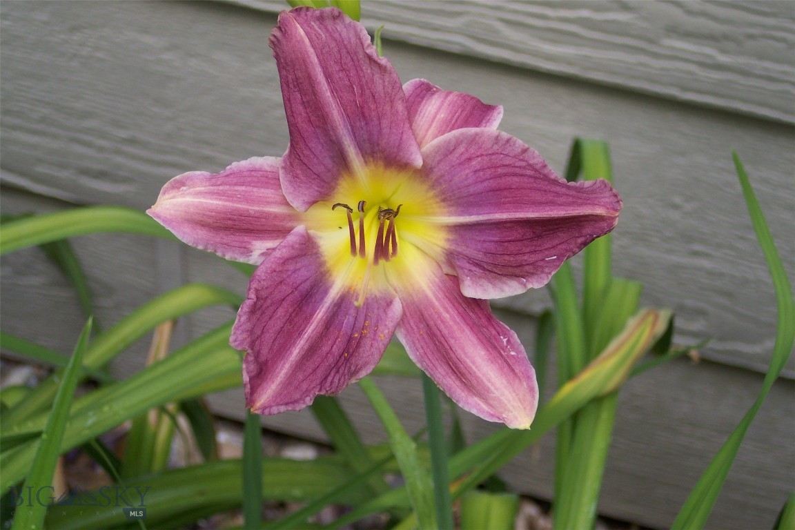 Lazy Acres - Residential