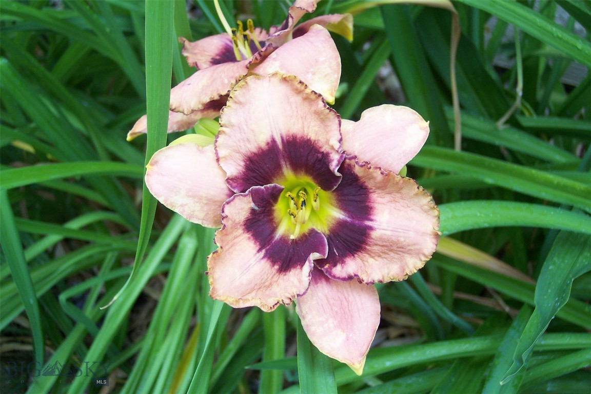 Lazy Acres - Residential