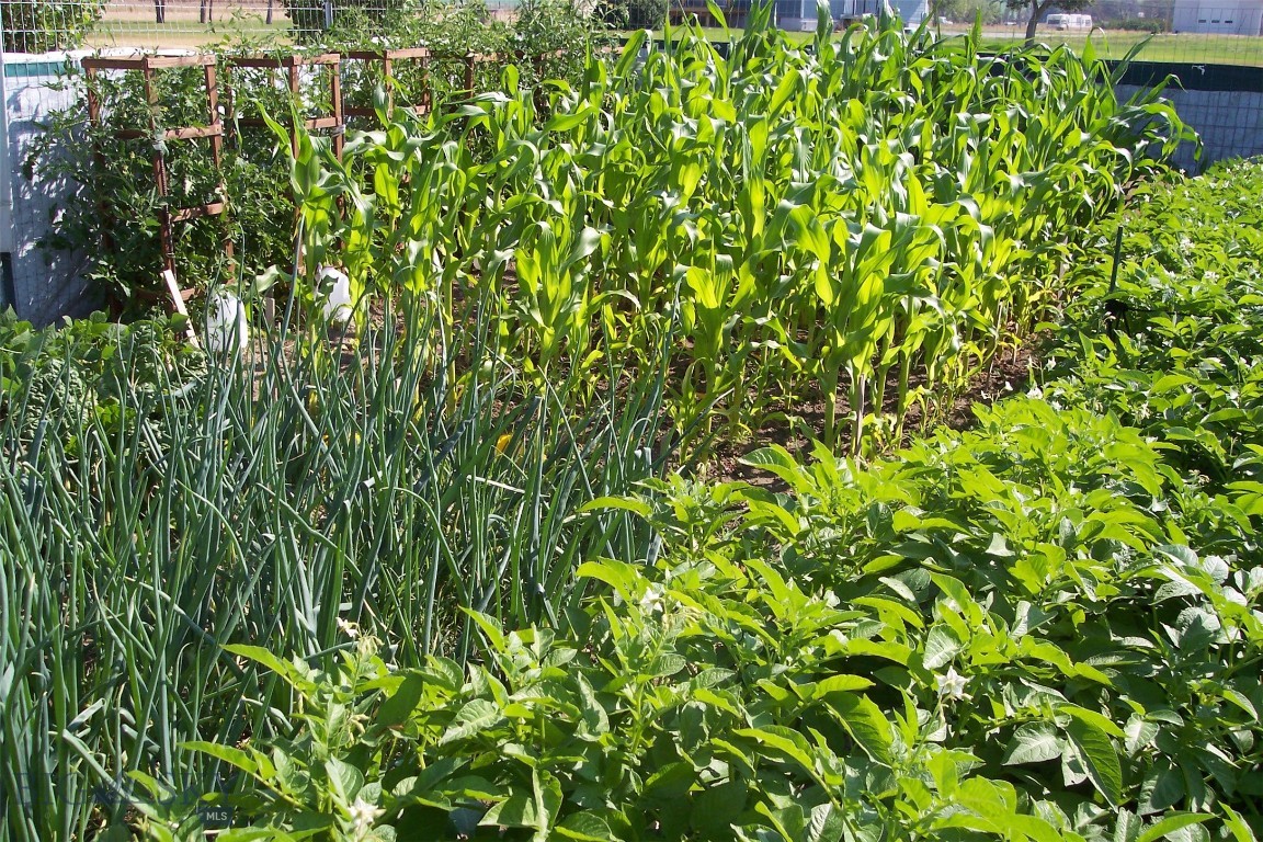 Lazy Acres - Residential