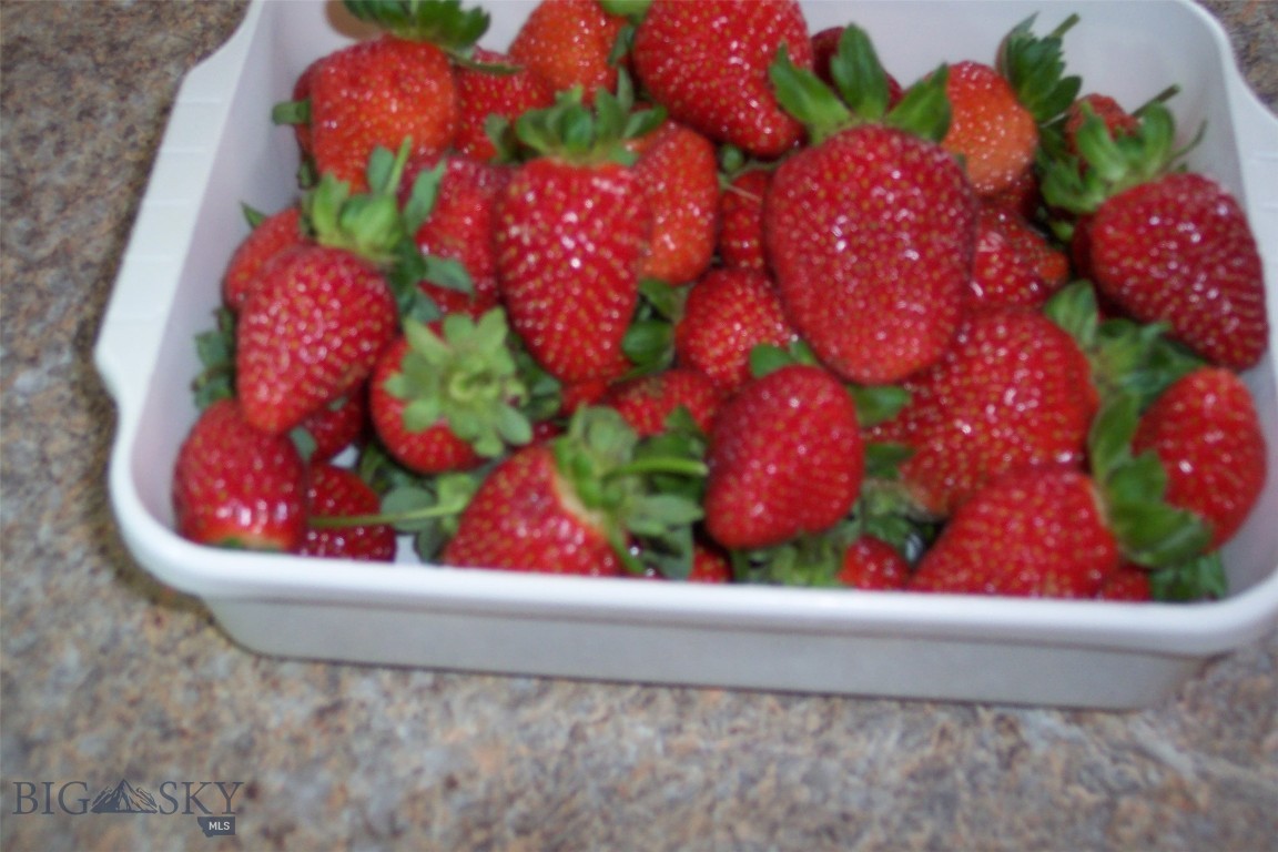 Lazy Acres - Residential