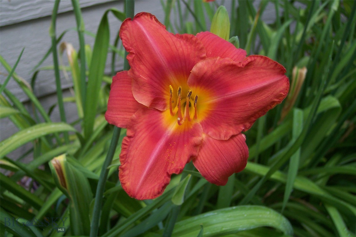 Lazy Acres - Residential