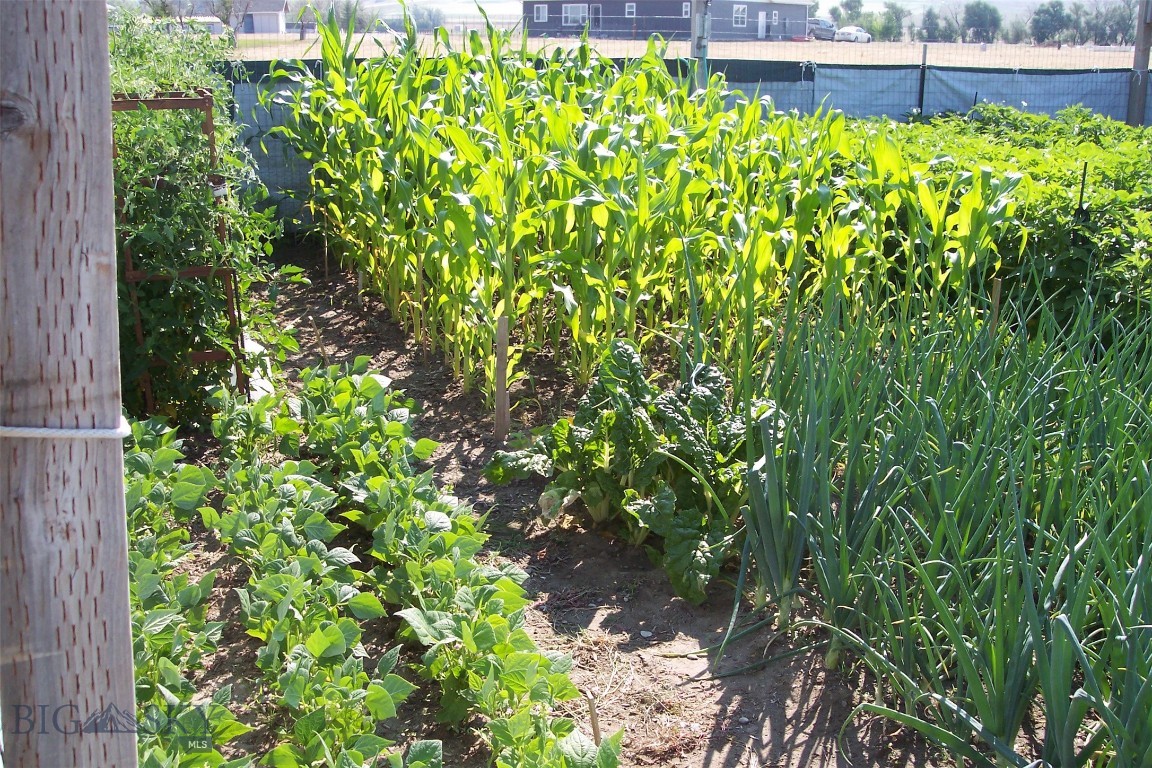 Lazy Acres - Residential