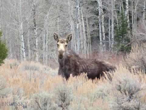 Photo of TBD Camp Creek Road, Butte, MT 59701 (MLS # 410269)