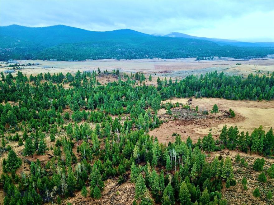 A summer playground for off-roading and trail exploration, and a fall refuge for hunting, these 26.2 acres offer unparalleled year-round recreation. The property showcases a blend of open meadows and forested pine stands, filling the air with the fresh mountain scent while providing a habitat for abundant wildlife. Whether you envision constructing a hunting cabin for annual camp traditions or a vacation home designed to host family and friends around a cozy wood-burning stove. With power conveniently nearby, development is both practical and flexible. The land borders 553.86 acres of state land along its southern and eastern edges, providing seamless access to expansive terrain for hiking, wildlife viewing, and premier big-game hunting for elk, deer, moose, and bear. The Bob Marshall Wilderness carpets the surrounding mountains with adventures to behold. Just beyond the property line, the famed Blackfoot River awaits, offering world-class trout fishing, scenic floating opportunities, and the pristine beauty of Montana’s wild landscapes. Use the land to camp on under stars like you’ve never seen and hunt huckleberries! Snowmobile or cross-country ski the many surrounding trails when the snow falls for unforgettable mountain memories.