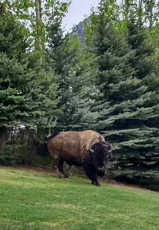Elk - Residential