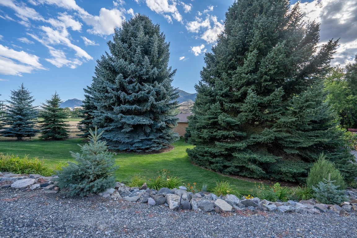 Elk - Residential