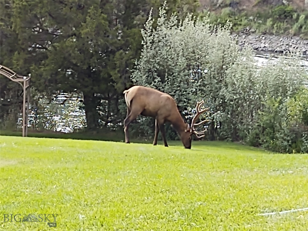 Elk - Residential