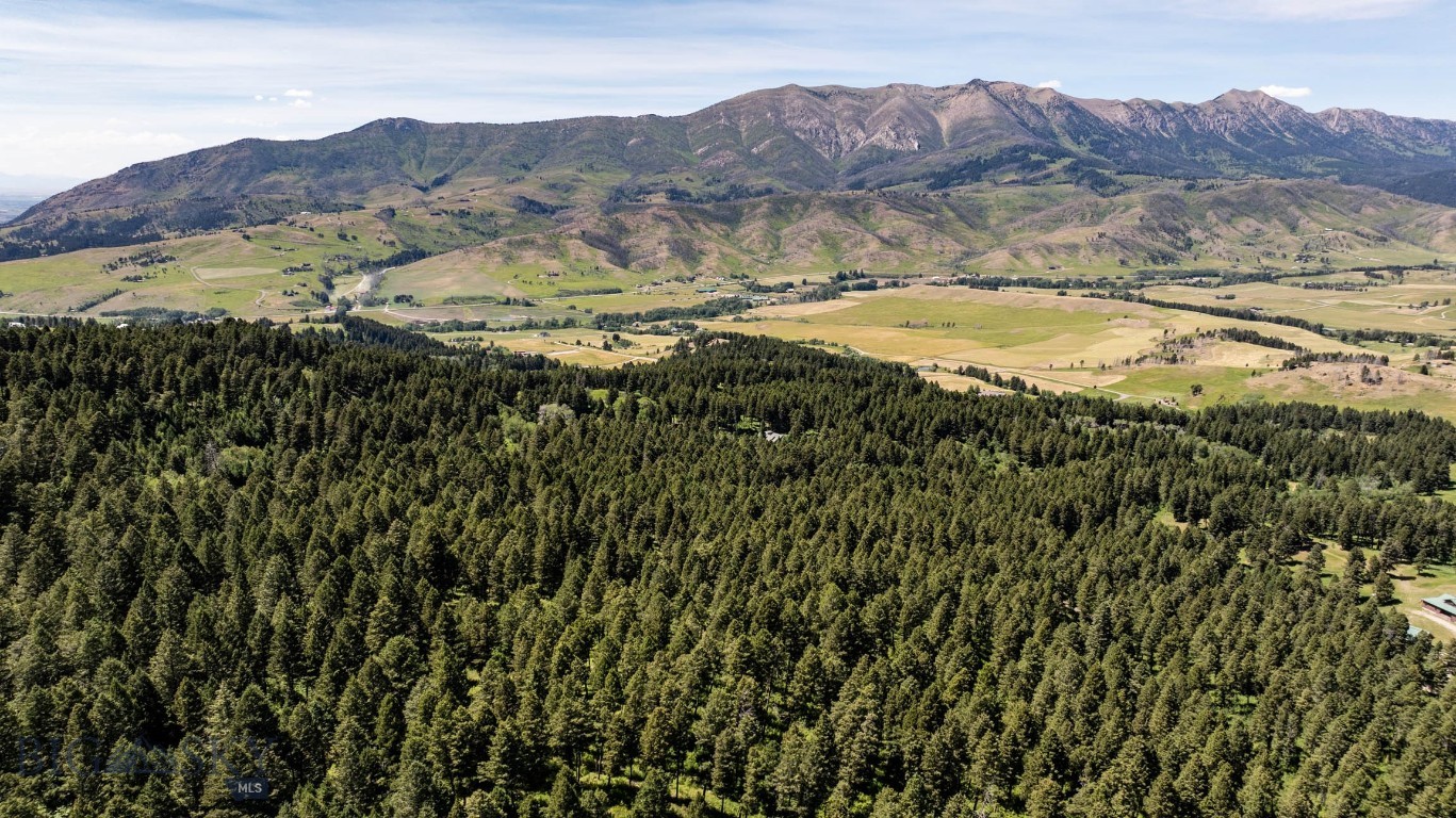 Aspen Meadows - Residential