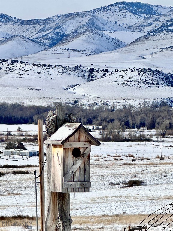 Ponderosa Pines - Land