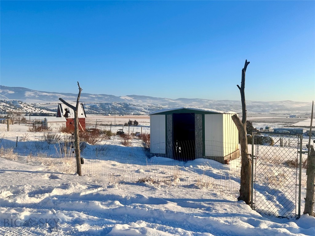 Ponderosa Pines - Land