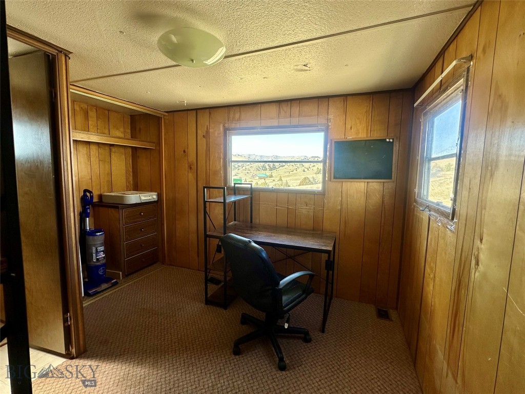 Ponderosa Pines - Land