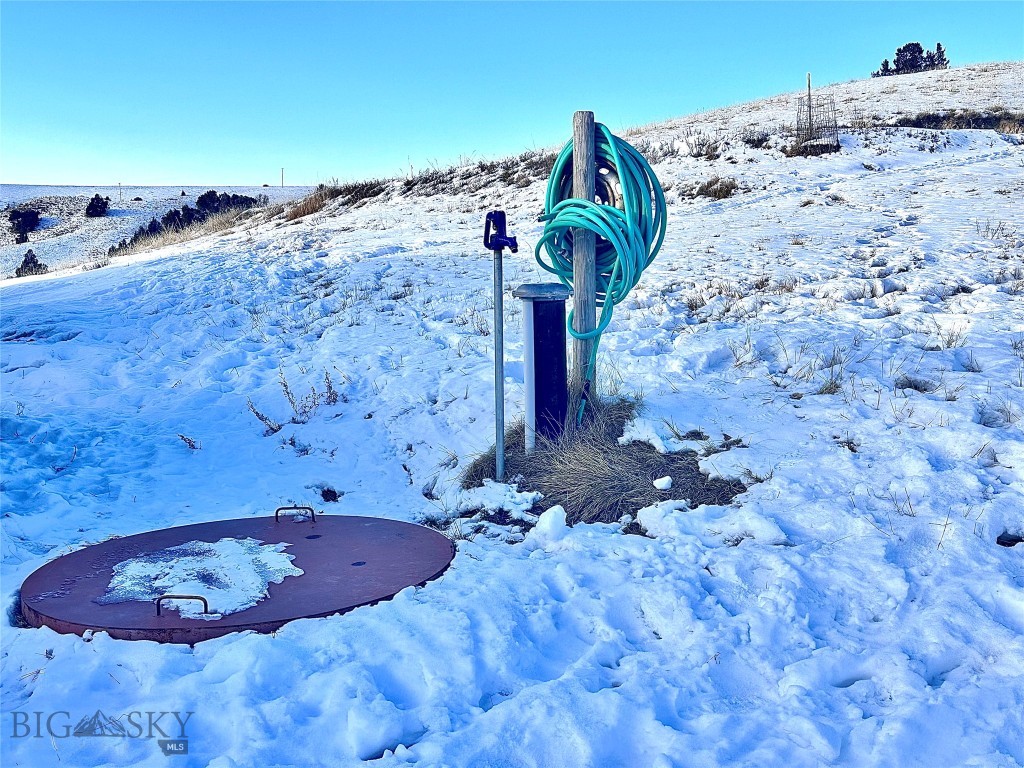 Ponderosa Pines - Land