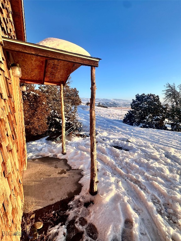 Ponderosa Pines - Land