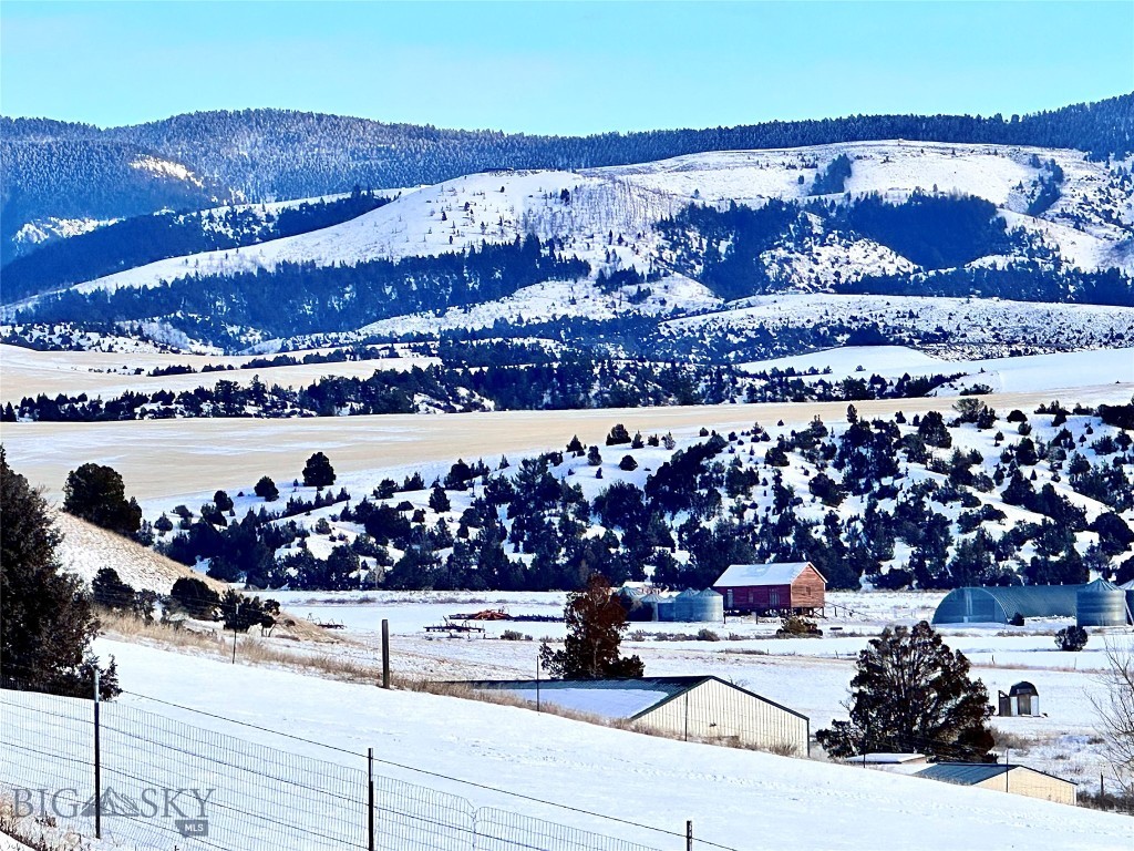 Ponderosa Pines - Land
