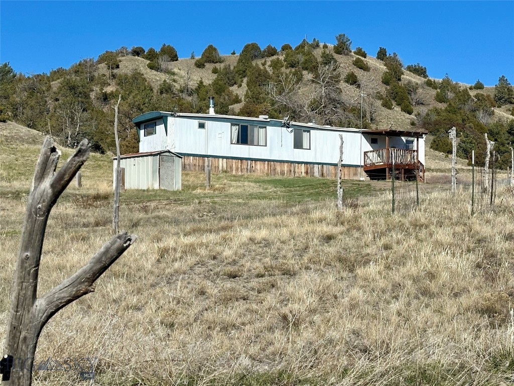 Ponderosa Pines - Land