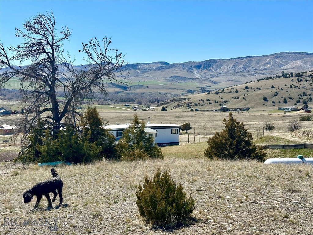 Ponderosa Pines - Land