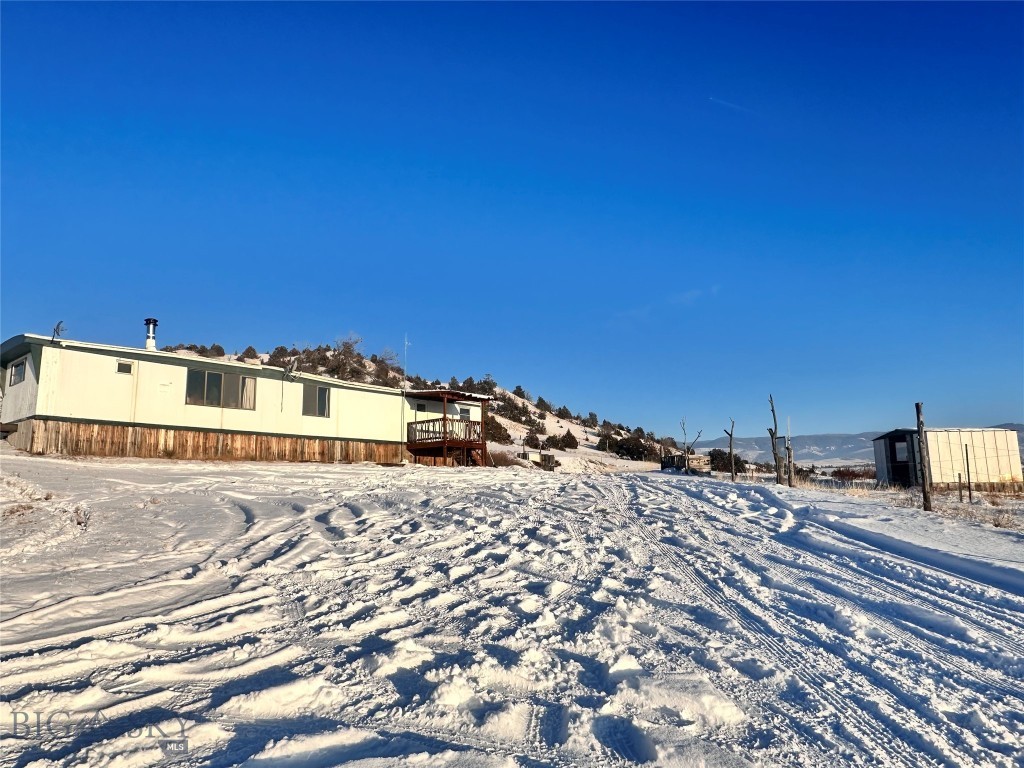 Ponderosa Pines - Land