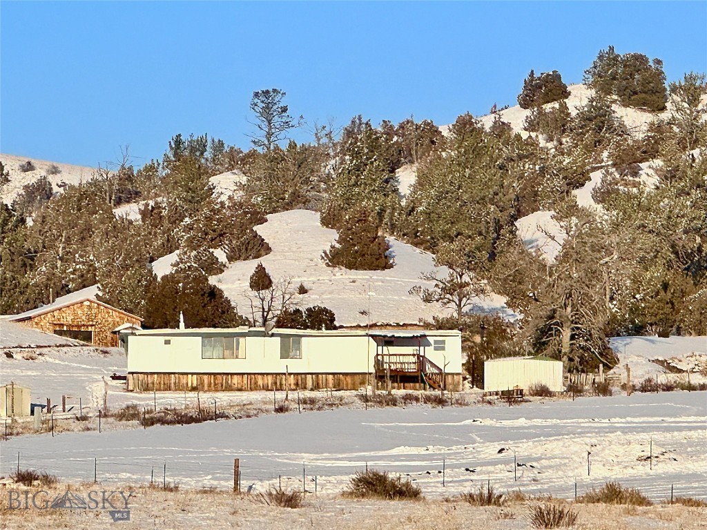 Ponderosa Pines - Land