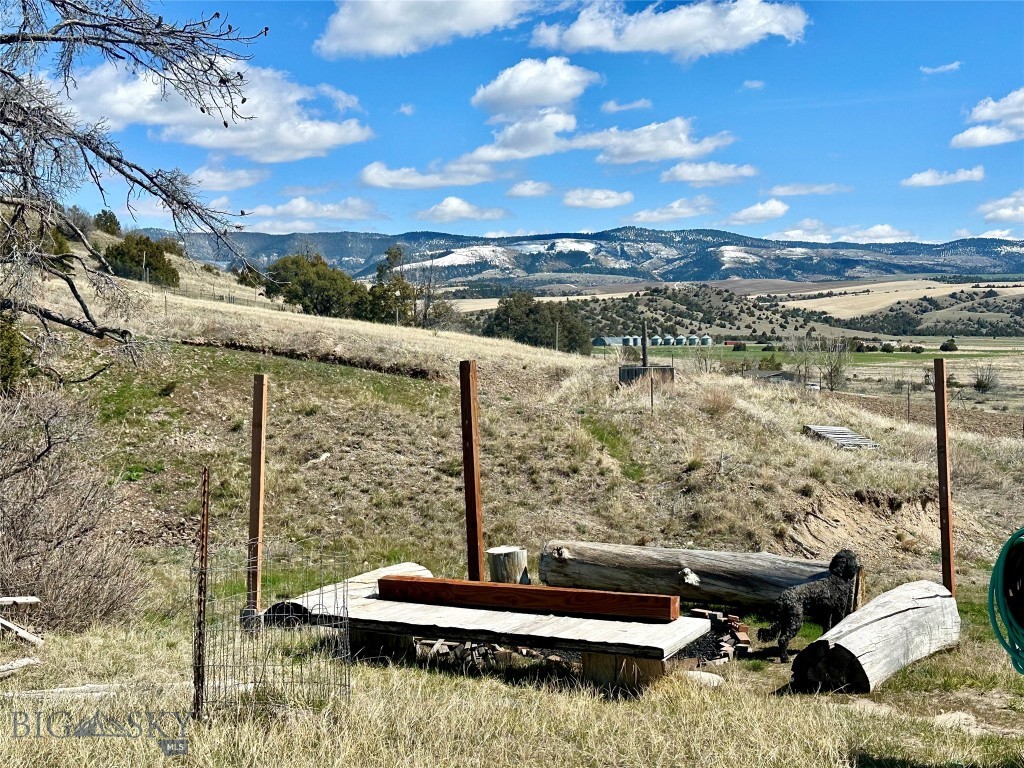 Ponderosa Pines - Land