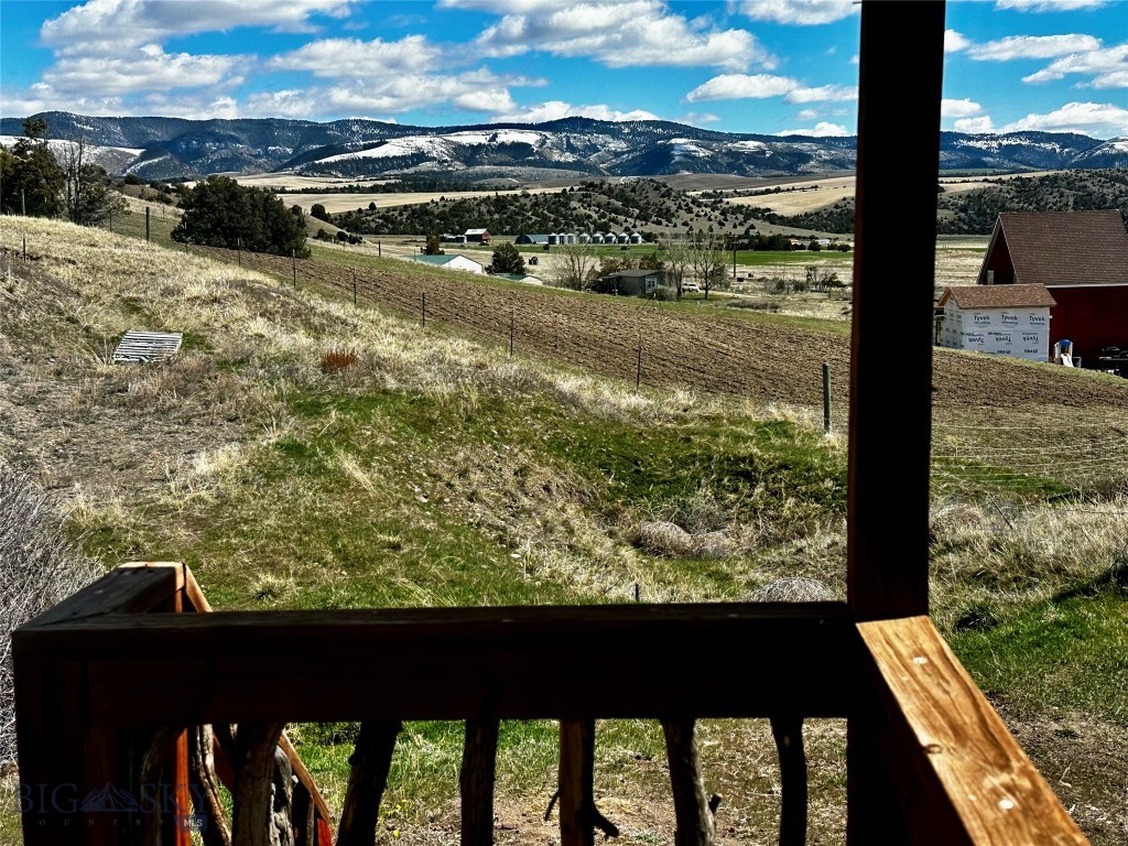 Ponderosa Pines - Land