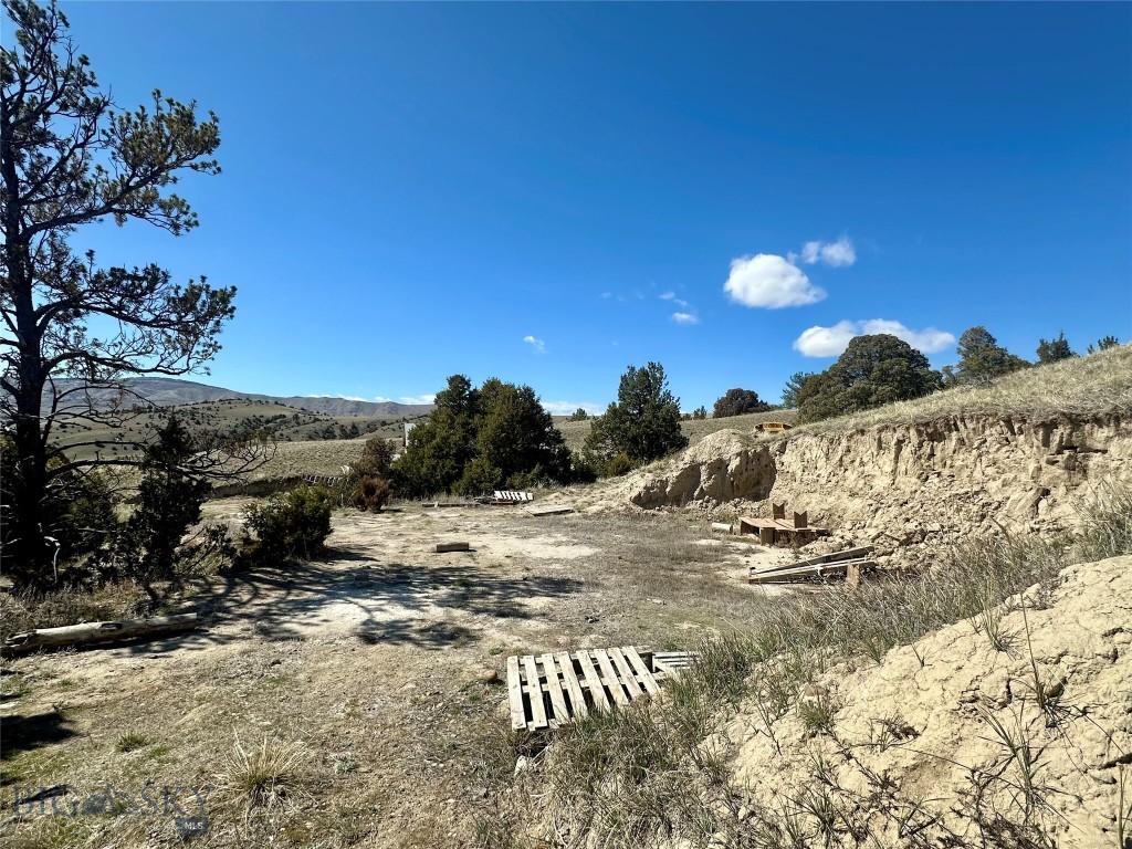 Ponderosa Pines - Land