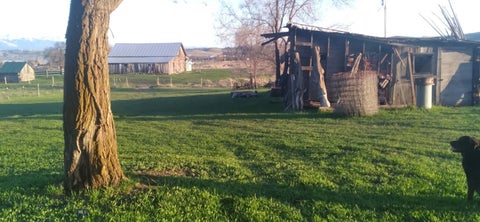 Photo of 33443 Fox Lane, Polson, MT 59860 (MLS # 408821)