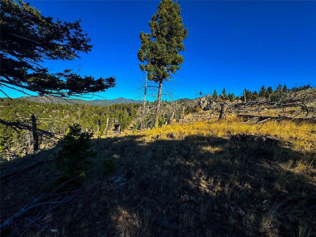 TBD (78+/- Ac) High Ore Road