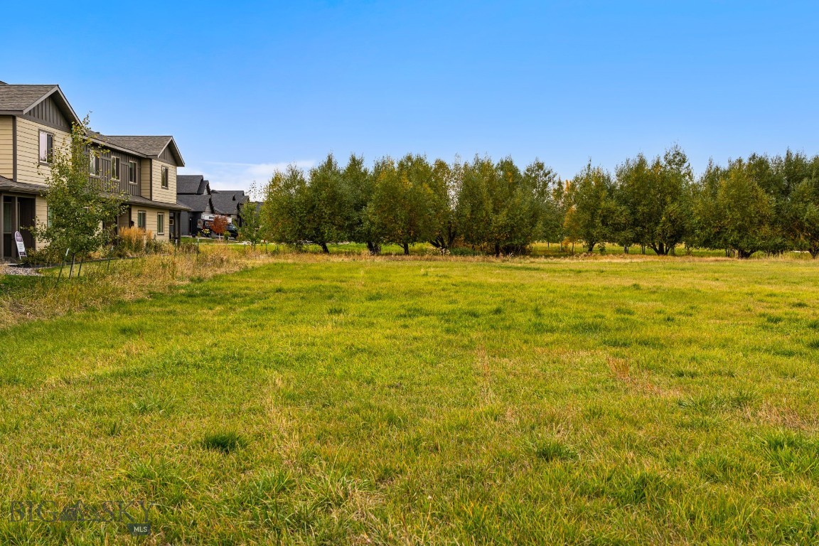 Minor Subdivision - Land