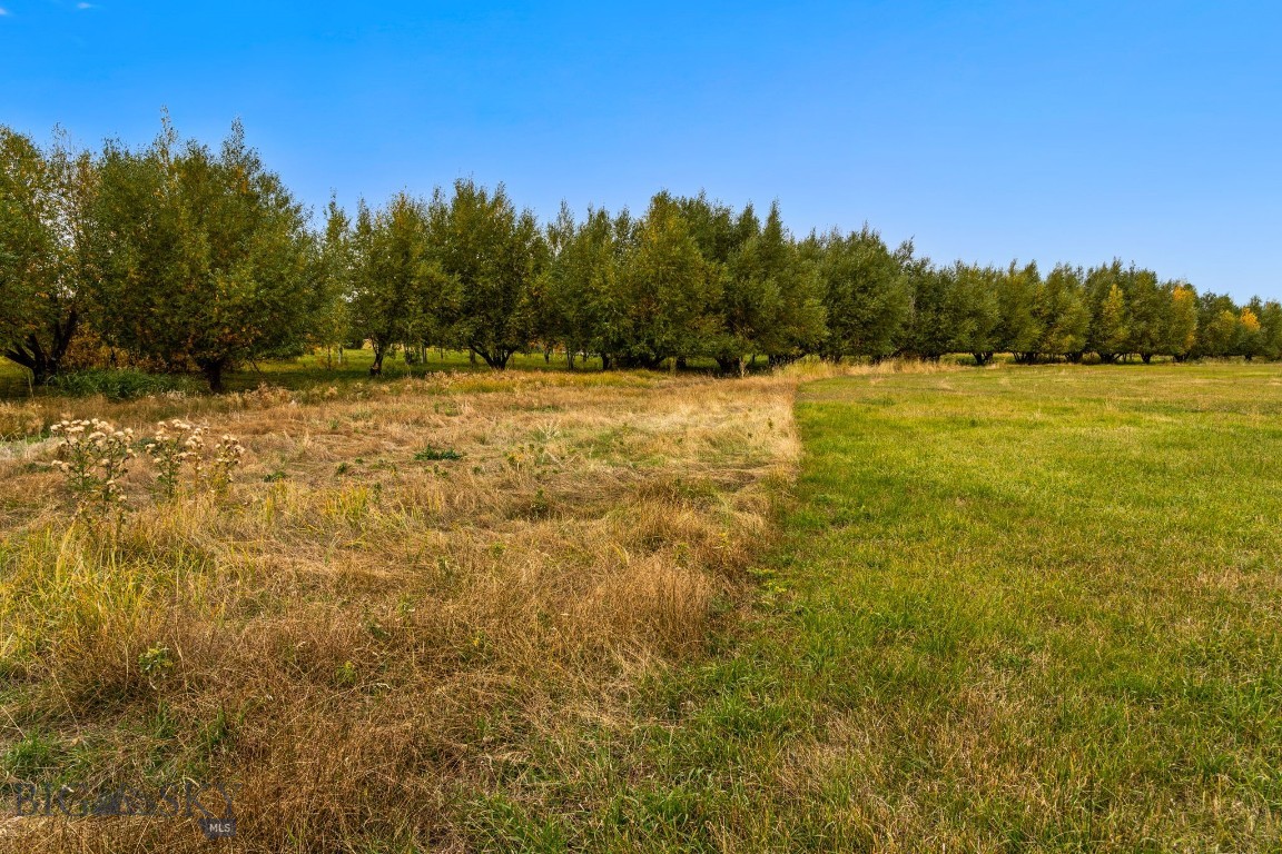 Minor Subdivision - Land