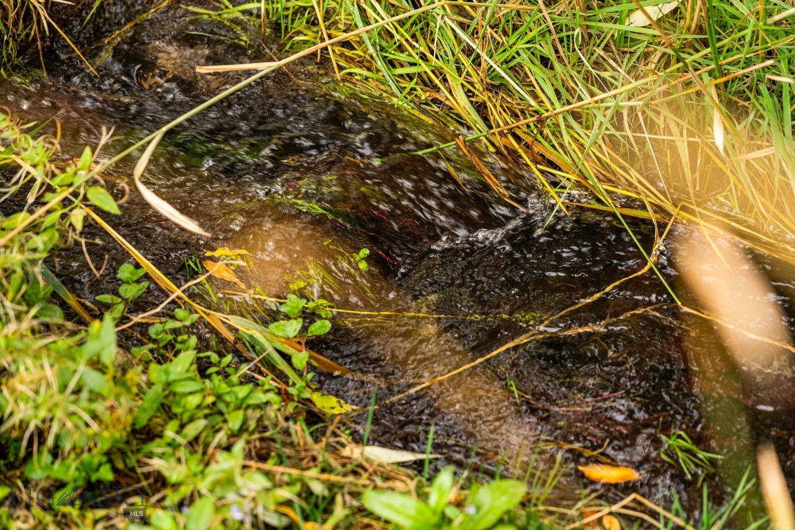 Minor Subdivision - Land