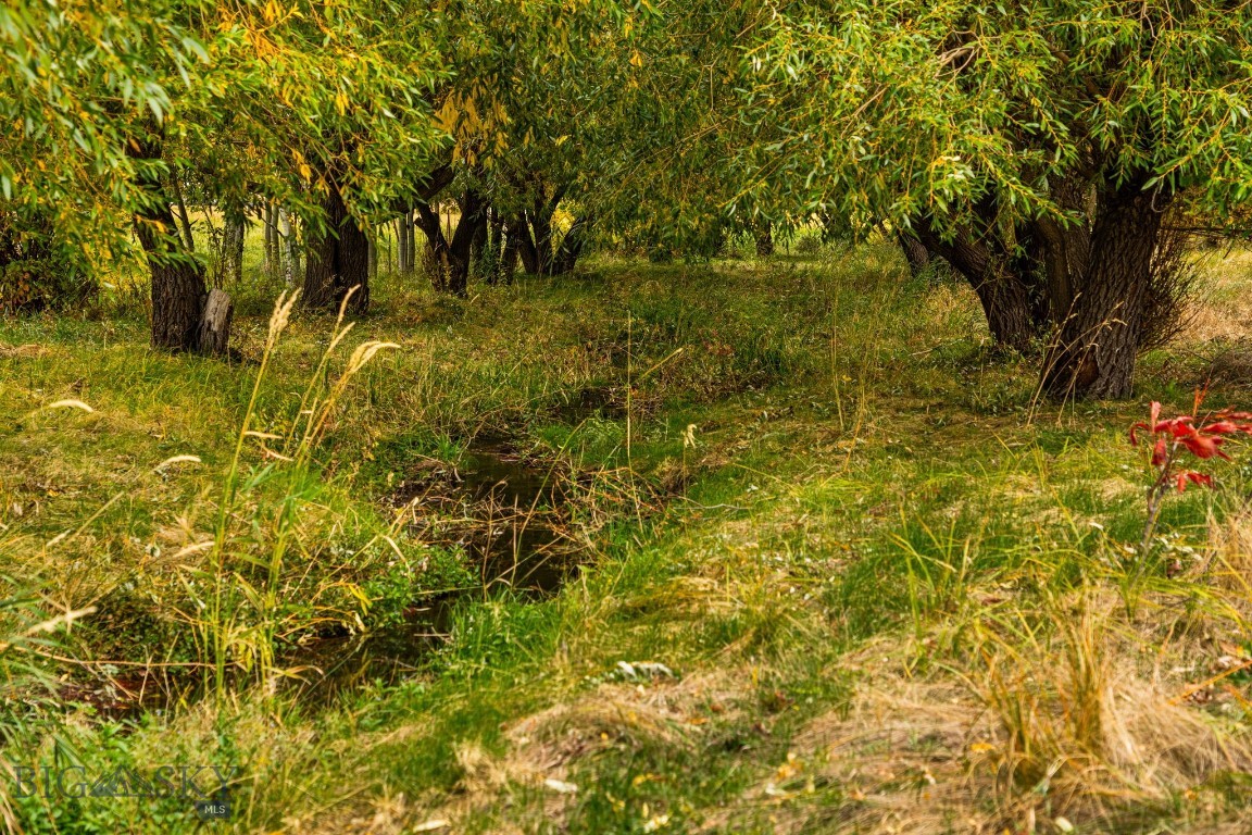 Minor Subdivision - Land