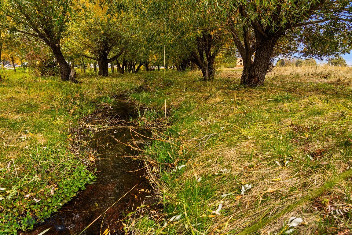 Minor Subdivision - Land