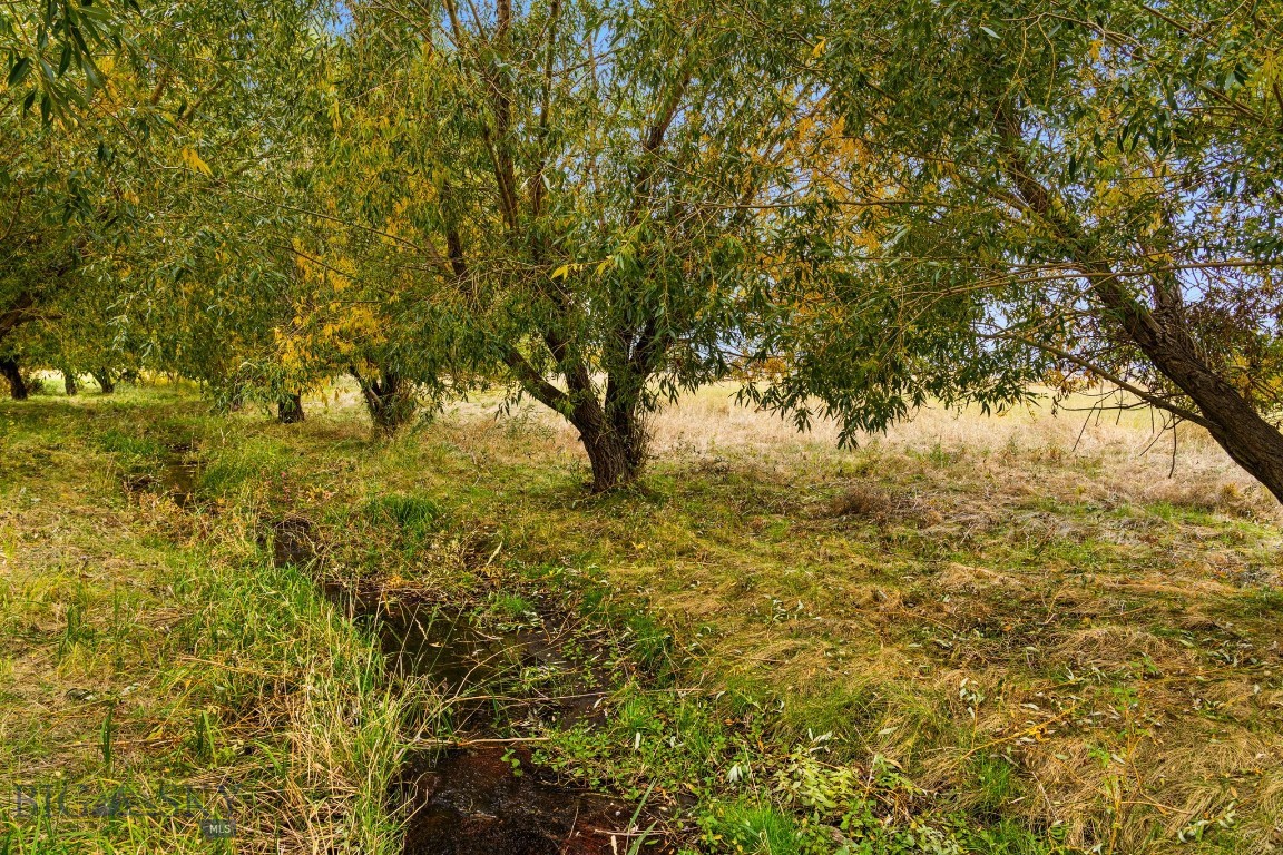 Minor Subdivision - Land