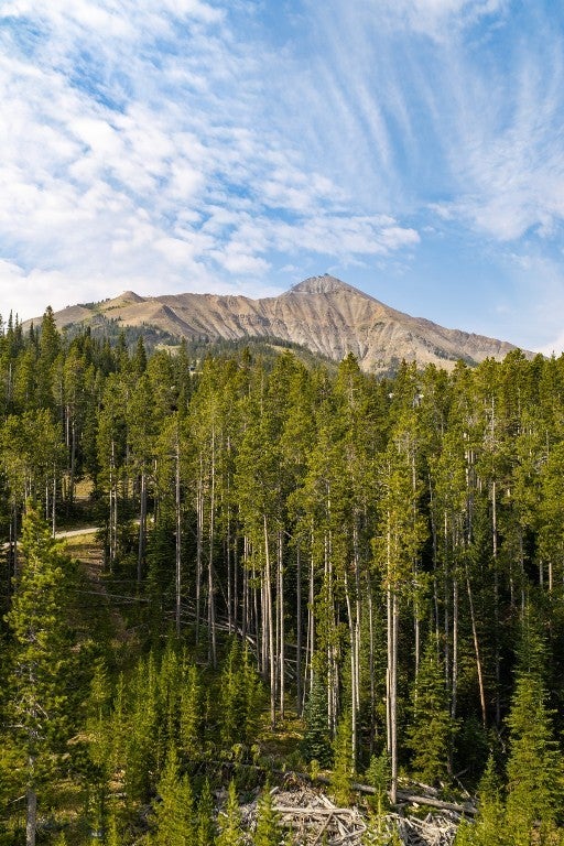 Lot 14 Peaks View Drive