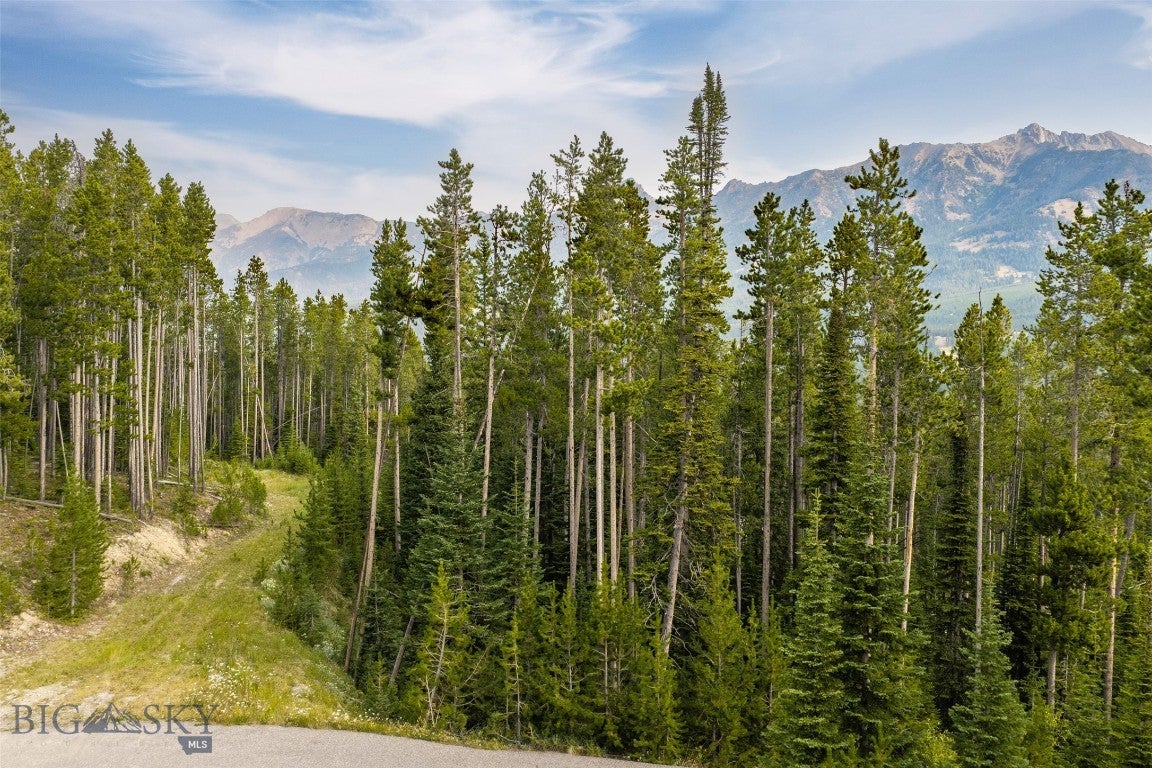Lot 14 Peaks View Drive