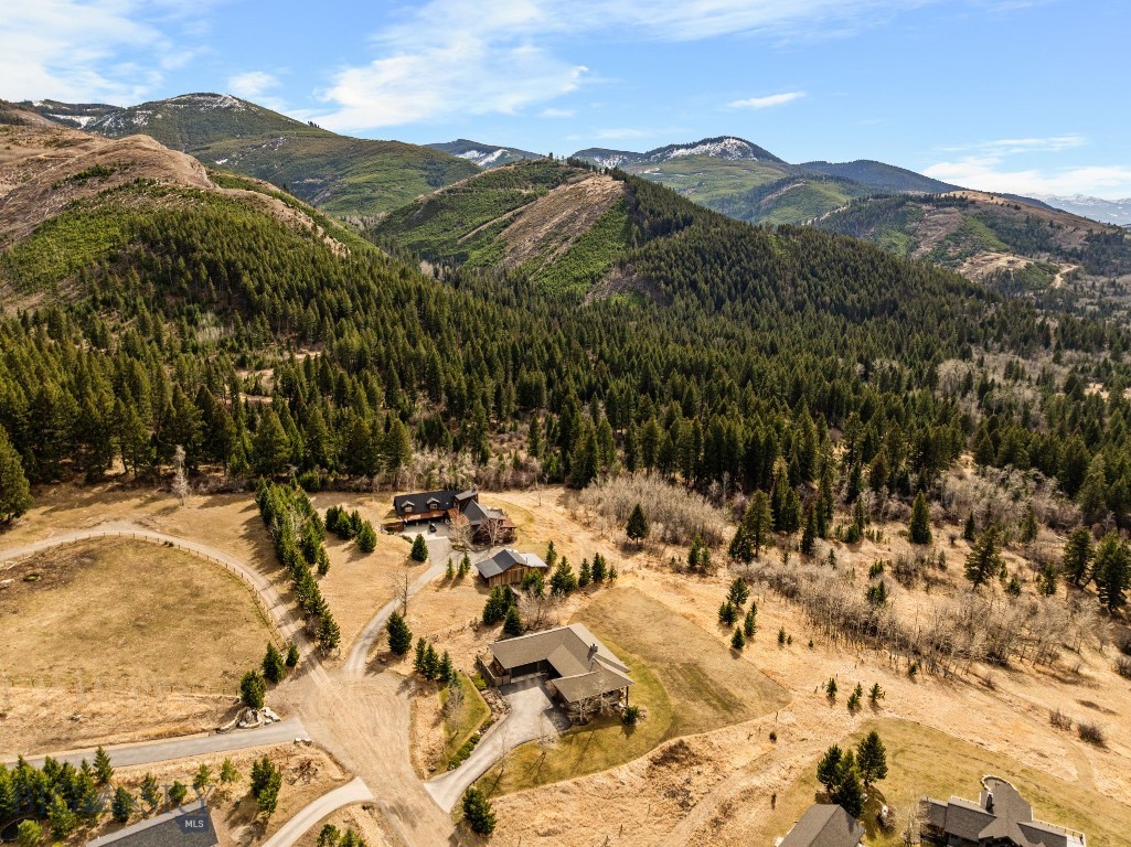 Little Bear - Residential