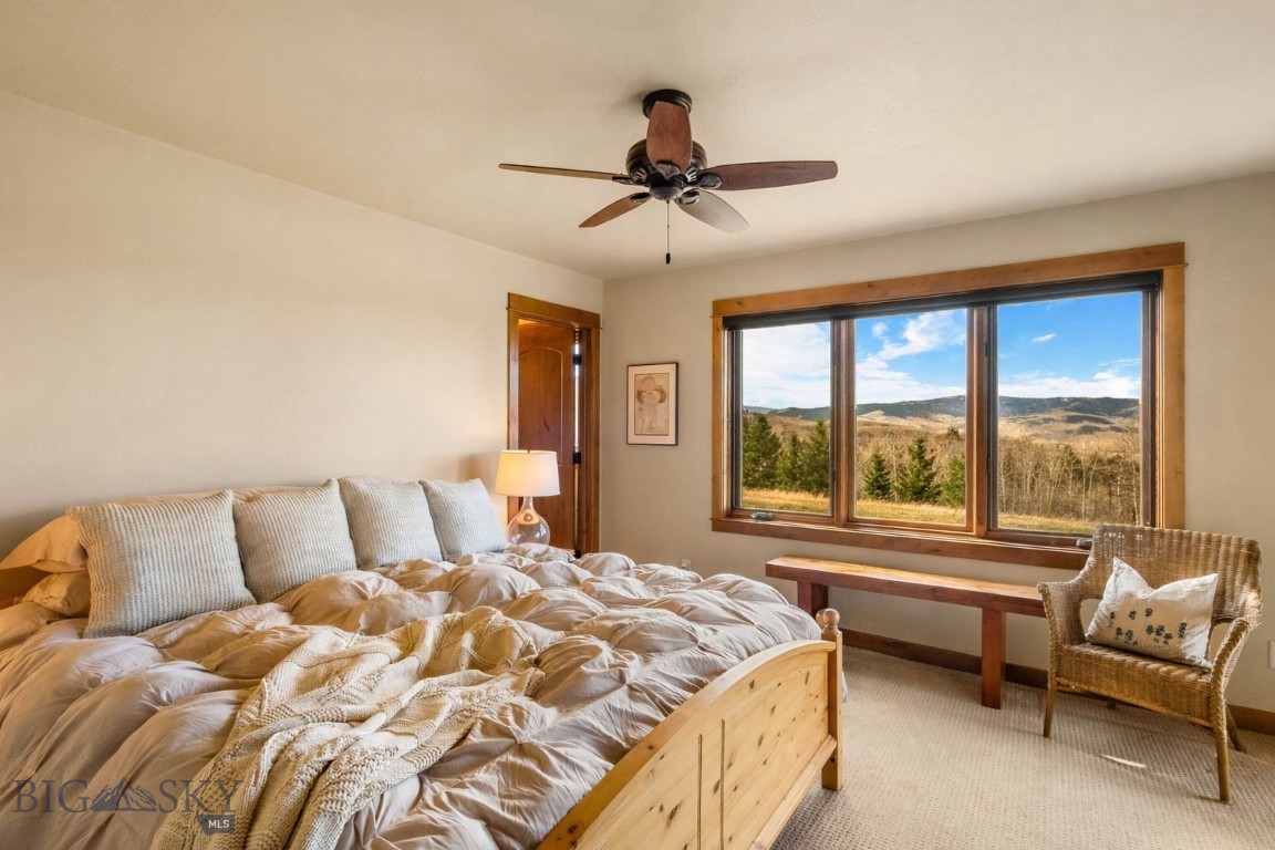 Little Bear - Residential