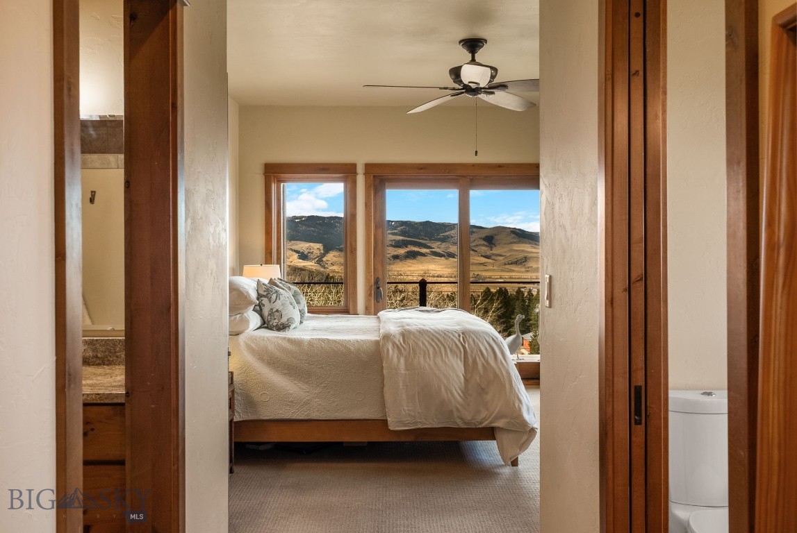 Little Bear - Residential