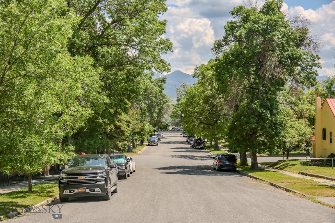 Livingston Original Plat - Residential