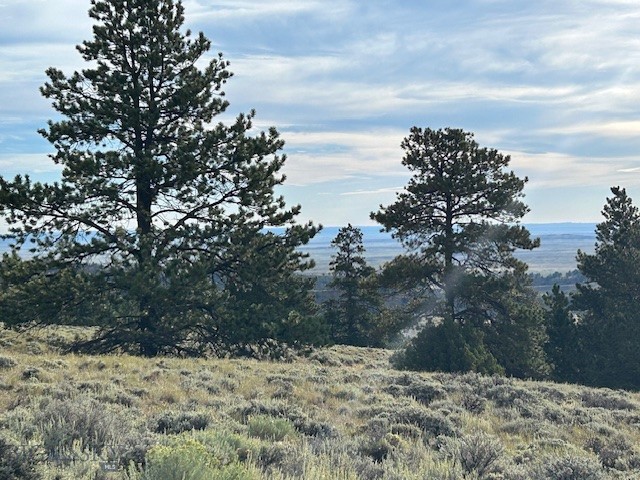 Other - Land