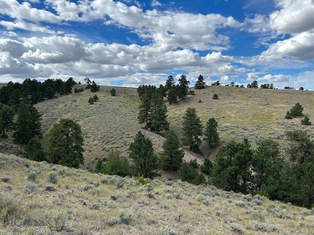 Other - Land