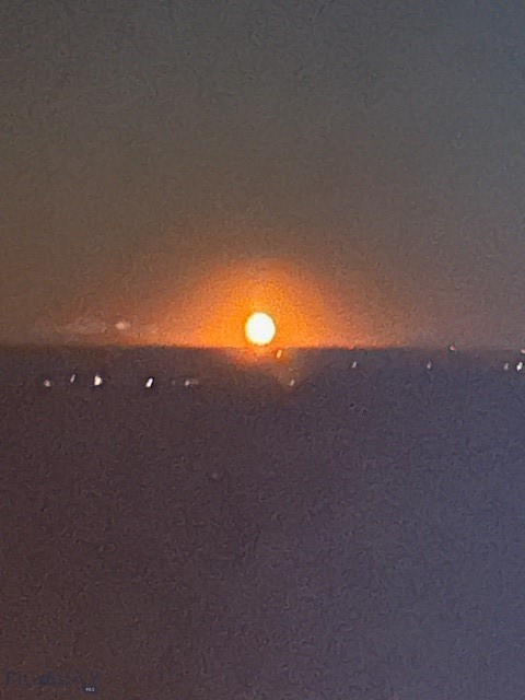 Other - Land