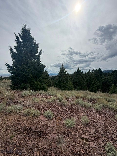 145 Panorama Drive