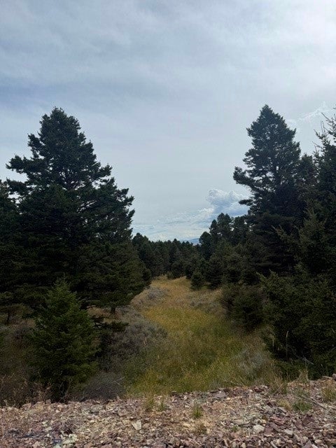 145 Panorama Drive