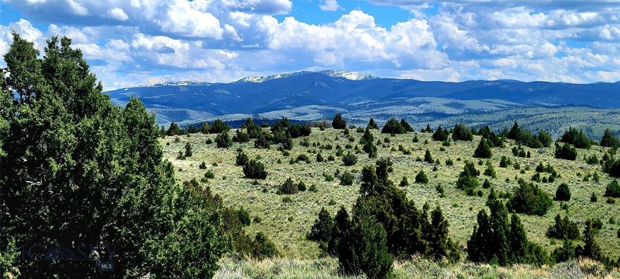 Need to get away from it all? With panoramic views of the Alder Creek valley and surrounding Mountain ranges, this 160.1 acres is surrounded by large parcels. Ideal for passive solar and off grind systems, build you cabin or home with plenty of space for your horses and cattle. Springs are located on the southern portion of the tract.  The west side is fenced. The SW corner is shared with BLM land.  The tract location is nearby Historic Virginia City and Alder Montana. Call today for a showing.