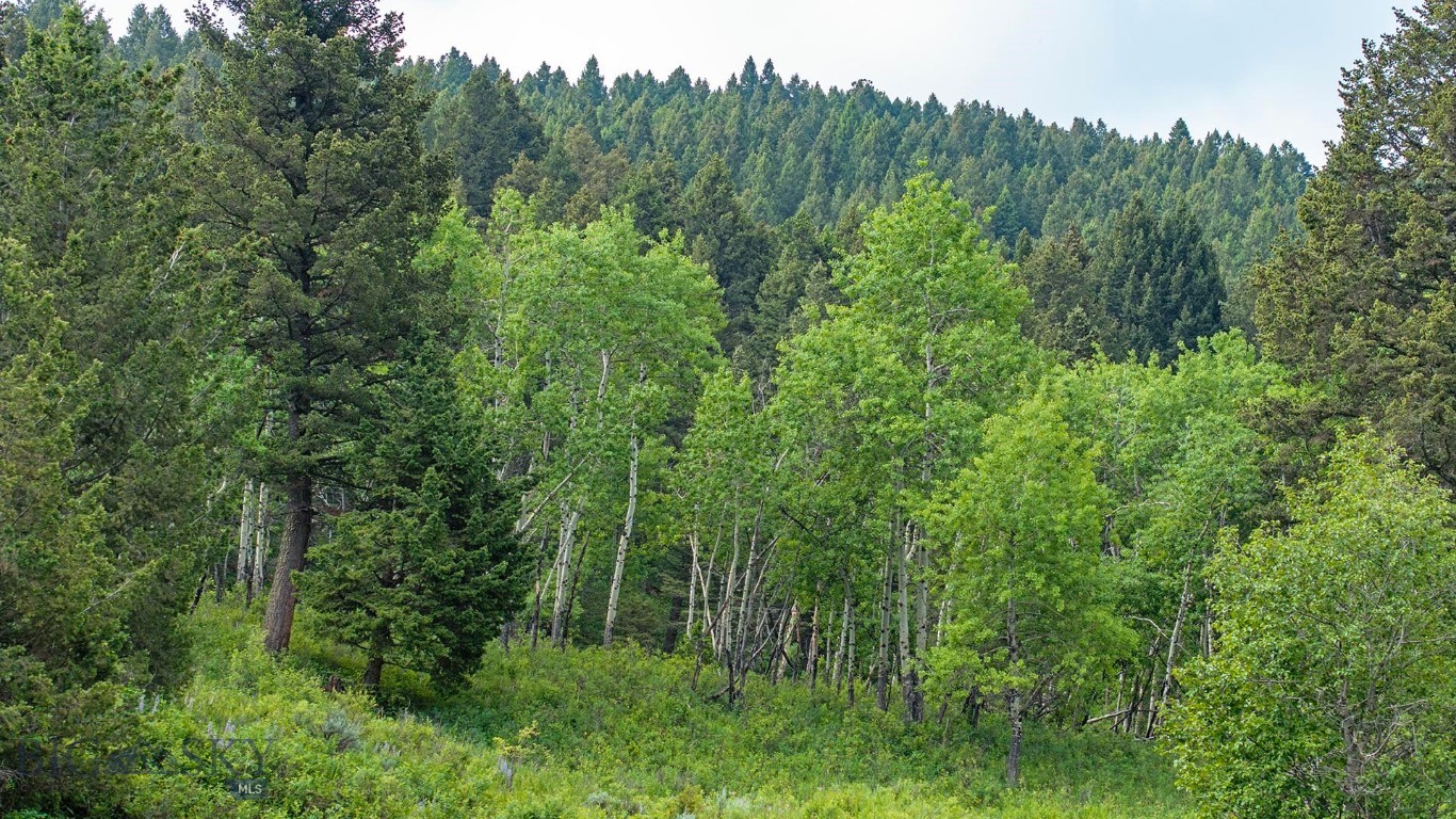 TBD Willow Creek N Fork Road