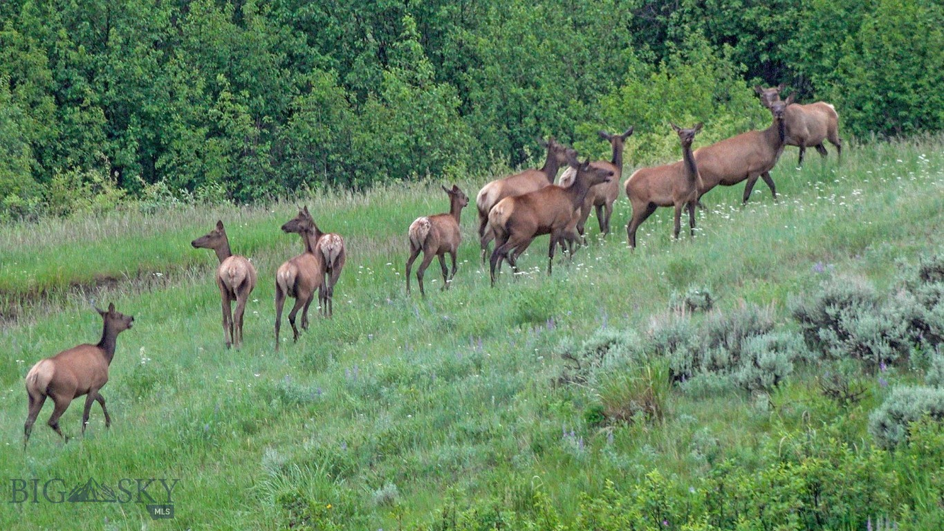 TBD Willow Creek N Fork Road