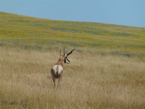Photo of TBD Wilder Trail, Lewistown, MT 59457 (MLS # 402912)