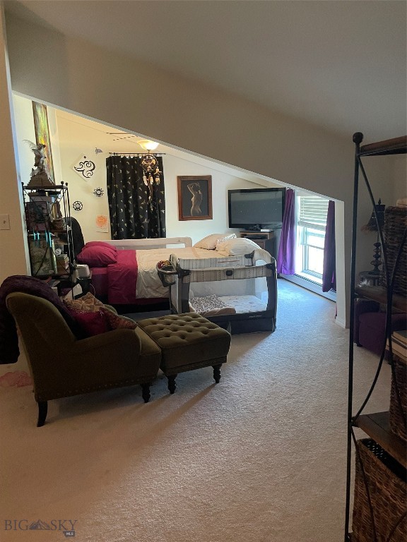 Minor Subdivision - Residential